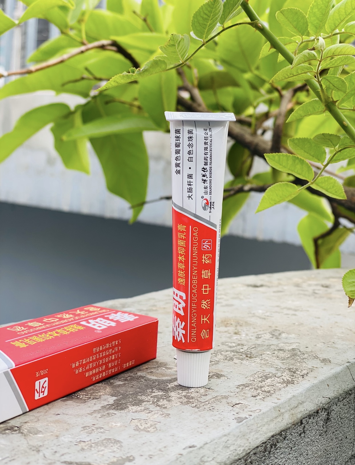 🌿 চাইনিজ হারবাল ক্রিম — চুলকানি, দাদ, একজিমা ও বিভিন্ন ত্বকের সমস্যায় ১০০% কার্যকর সমাধান।